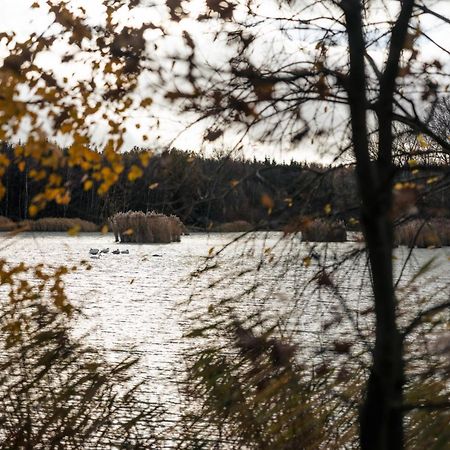 Katlov Homes Cervene Janovice Bagian luar foto