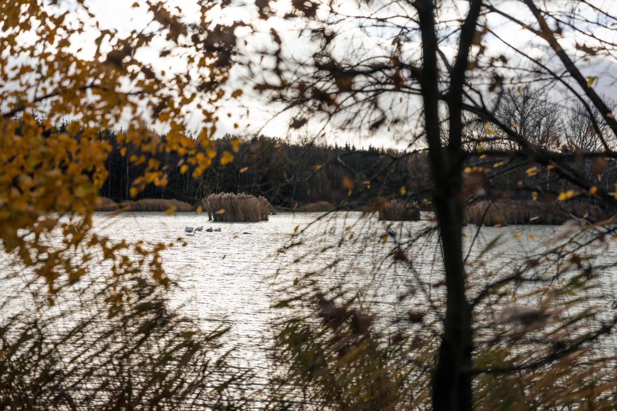 Katlov Homes Cervene Janovice Bagian luar foto